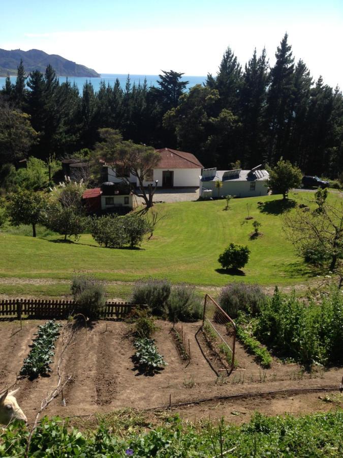 Waipiro Bay Paradise Bed & Breakfast Te Puia Exterior photo